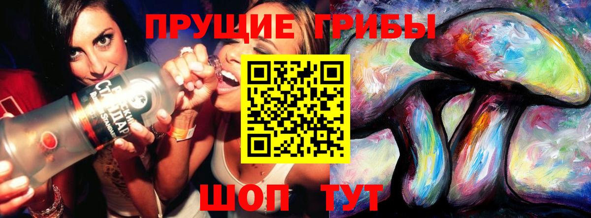 Сертолово  Галлюциногенные грибы Psilocybine cubensis  Вход с VPN  Псилоцибиновые грибы Magic Shrooms 