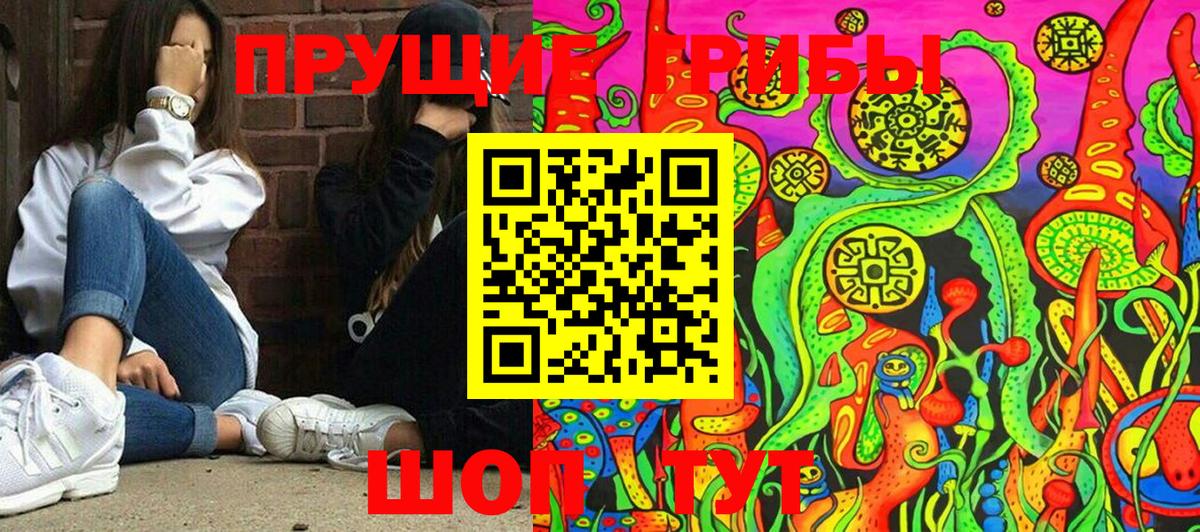 Галлюциногенные грибы Cubensis Сертолово